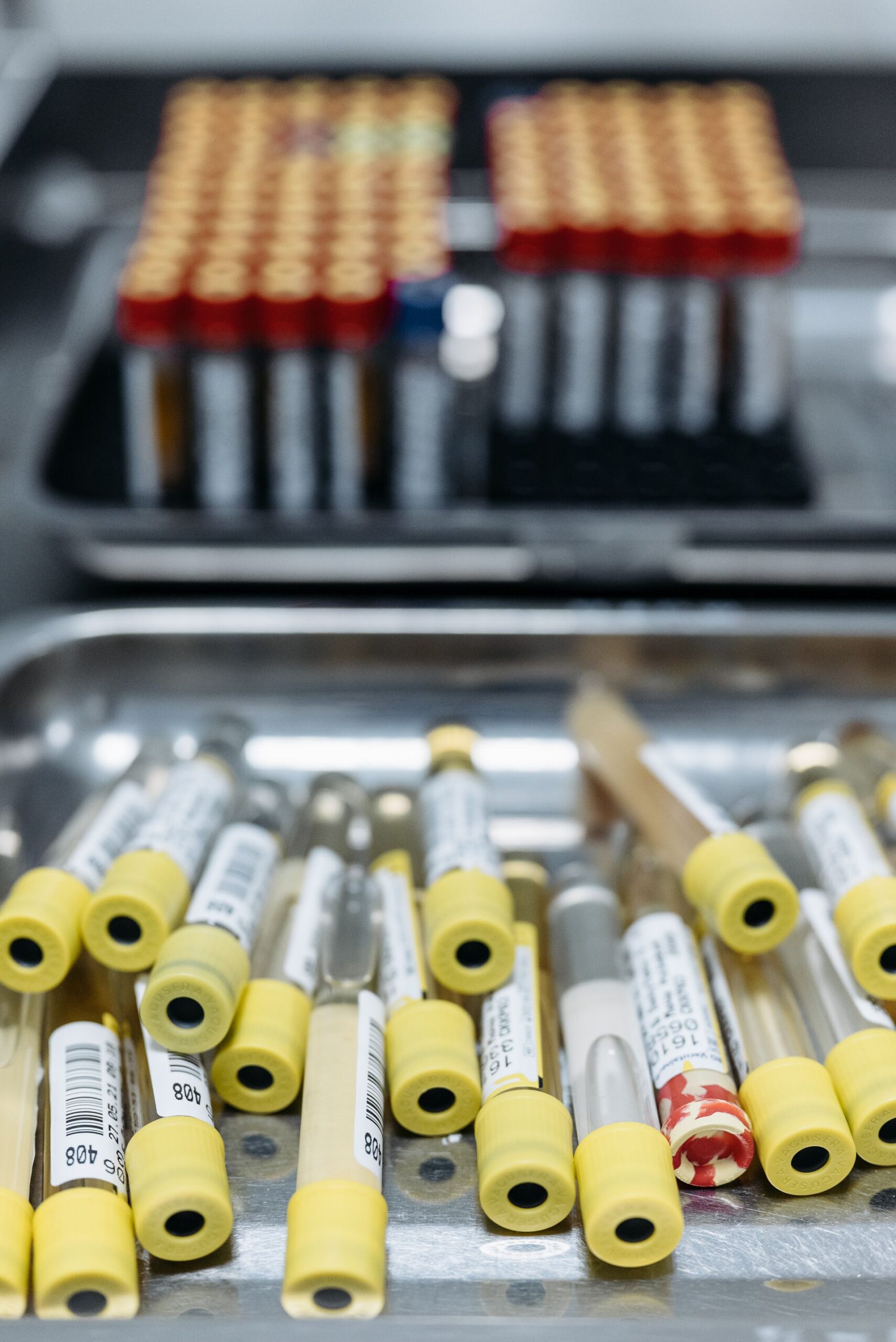 Wellness bloodwork